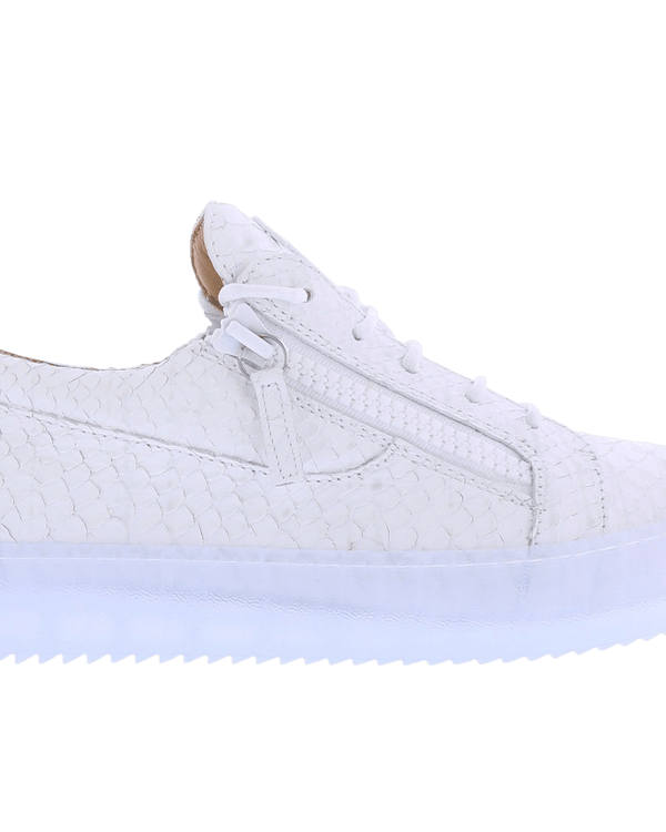 Heren Giuseppe Zanotti Rigolia
